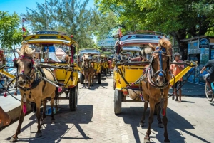 Z Bali: 2-dniowa prywatna wycieczka z nurkowaniem na wyspie Gili z hotelem