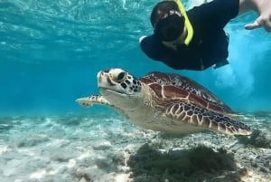 Fra Bali: 2-dages privat snorkeltur på Gili Island med hotel