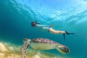 From Bali: Gili Islands 2-Day Tour with Beachfront Resort