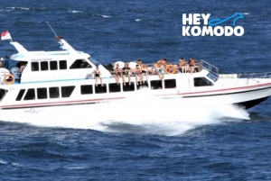 Fra Bali: Billet Fastboat Gili Trawangan & Lombok Tour