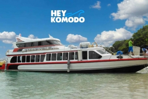 Da Bali : Biglietto Fastboat Gili Trawangan & Lombok Tour