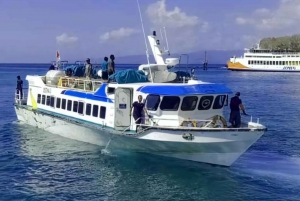 Z Bali: bilet na szybką łódź Gili Trawangan & Lombok Tour