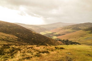 From Dublin: Wild Wicklow Mountains and Glendalough Tour
