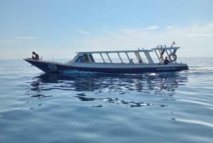 Von Gili Air aus: Schnorcheltour zu drei Inseln mit Meeresschildkröten