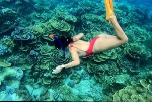 Dall'isola di Gili Air : Snorkeling di gruppo/pubblico 3 Gilis