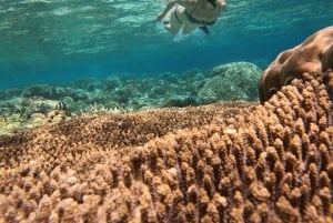 Au départ de l'île de Gili Air : plongée en apnée en groupe/public 3 Gilis