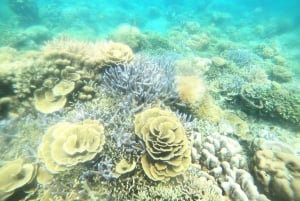 Au départ de l'île de Gili Air : plongée en apnée en groupe/public 3 Gilis