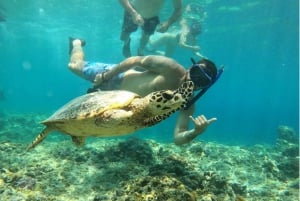 Au départ de l'île de Gili Air : plongée en apnée en groupe/public 3 Gilis