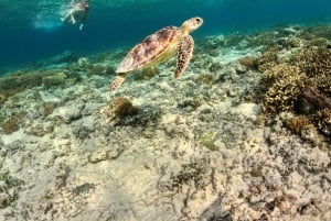 Гили-Айр: частная или небольшая групповая экскурсия на лодке с подводным плаванием