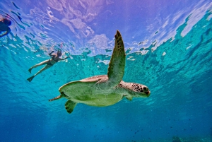 Гили-Айр: частная или небольшая групповая экскурсия на лодке с подводным плаванием