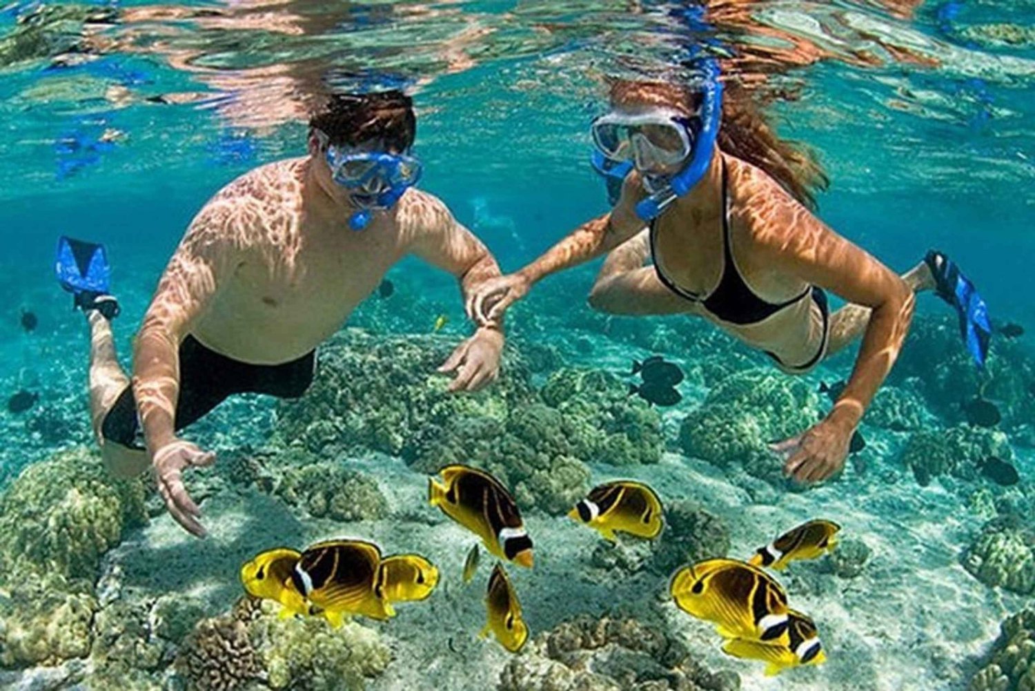 Vanaf Gili Air : Snorkelen op 3 eilanden