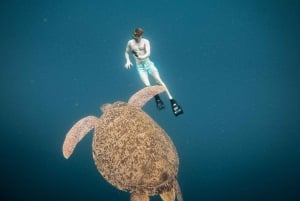 From Gili Air: Snorkeling with Turtles & Underwater Statue