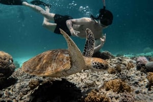 From Gili Air: Snorkeling with Turtles & Underwater Statue