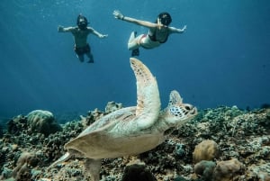 From Gili Air: Snorkeling with Turtles & Underwater Statue