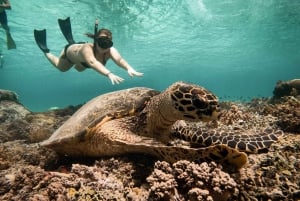 From Gili Air: Snorkeling with Turtles & Underwater Statue