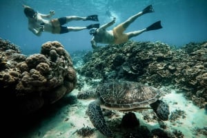 From Gili Air: Snorkeling with Turtles & Underwater Statue