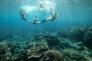 From Gili Air: Snorkeling with Turtles & Underwater Statue