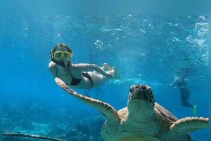 Van Gili eiland: Snorkeltour 's middags 3 eilanden