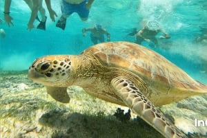 Van Gili eiland: Snorkeltour 's middags 3 eilanden