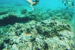 Desde la Isla Gili: Excursión de Snorkel por la Tarde 3 Islas