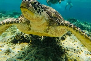 Depuis l'île de Gili : Après-midi de plongée avec masque et tuba 3 îles