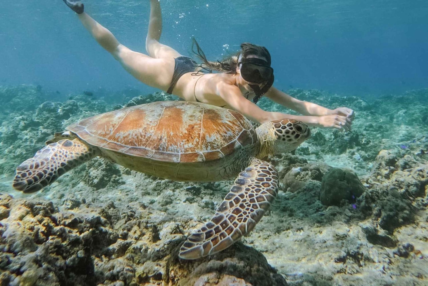 From Gili Meno: Private Snorkeling with Turtle & Statue