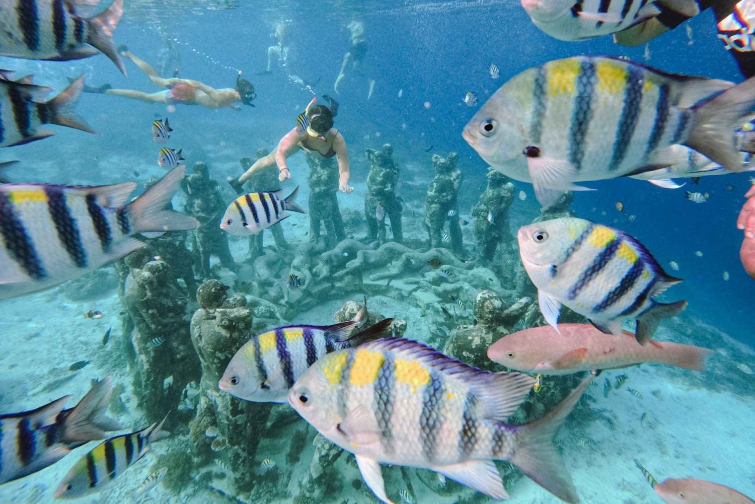 From Gili Meno: Private Snorkeling with Turtle & Statue