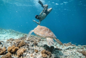 From Gili Meno: Private Snorkeling with Turtle & Statue