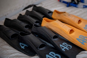 From Gili Meno: Private Snorkeling with Turtle & Statue