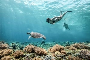 Gili Trawanganilta: Gili Islands Snorkeling Boat Tour