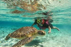 Gili Trawanganilta: Gili Islands Snorkeling Boat Tour