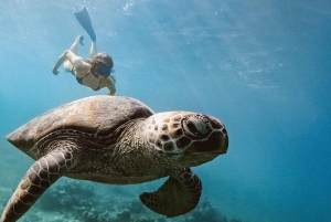 Fra Gili Trawangan: Snorkletur med båt på Gili-øyene