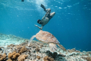 Fra Gili Trawangan: Snorkeltur på Gili-øerne med bådtur