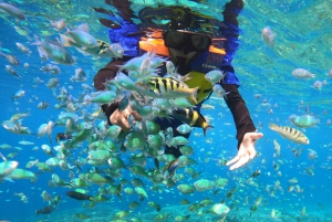 Fra Gili Trawangan: Snorkeltur på Gili-øerne med bådtur