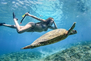 Från Gili Trawangan: Snorklingstur med båt på Gili-öarna