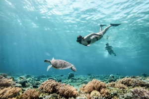 Fra Gili Trawangan: Snorkeltur på Gili-øerne med bådtur