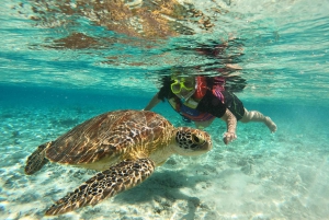 Från Gili Trawangan: Snorklingstur med båt på Gili-öarna