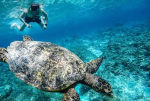 From Gili Trawangan: Gili Islands Hopping Snorkeling Trip
