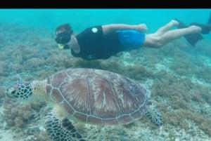 Au départ de Gili Trawangan : Excursion en groupe pour la plongée en apnée sur l'île de Gili 3