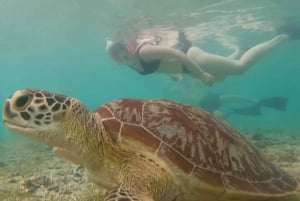 Au départ de Gili Trawangan : Excursion en groupe pour la plongée en apnée sur l'île de Gili 3