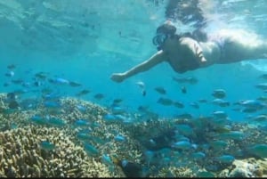 Au départ de Gili Trawangan : Excursion en groupe pour la plongée en apnée sur l'île de Gili 3