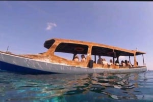 Au départ de Gili Trawangan : Excursion en groupe pour la plongée en apnée sur l'île de Gili 3