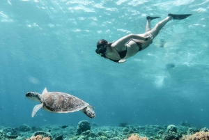 Från Gili Trawangan: Privat snorkling och GoPro-kamera