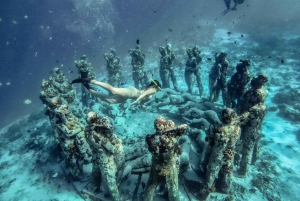 Från Gili Trawangan: Privat snorkling och GoPro-kamera