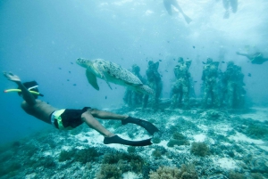 Da Gili Trawangan: Snorkeling privato e videocamera GoPro