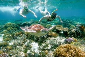 Desde Gili Trawangan: Esnórquel privado y cámara GoPro