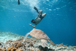 Fra Gili Trawangan: Privat snorkling og GoPro-kamera