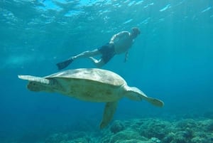 Au départ de Gili Trawangan : Visite en petit groupe de plongée avec tuba au coucher du soleil