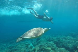 Au départ de Gili Trawangan : Visite en petit groupe de plongée avec tuba au coucher du soleil