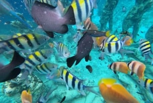 From Gili Trawangan: Small Group Sunset Snorkeling Tour